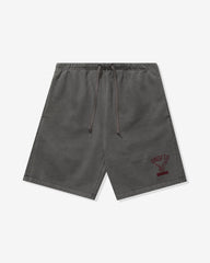UNDEFEATED STATE SWEATSHORT - GREY